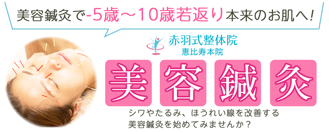美容鍼灸コースを受けてみませんか？