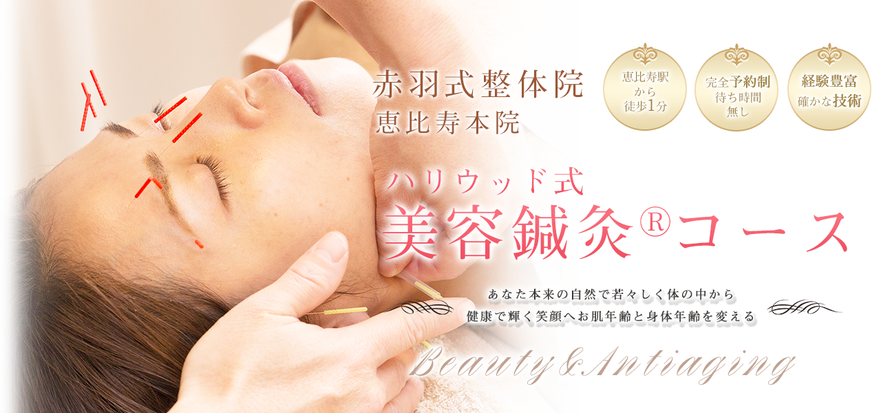 赤羽式整体院 美容鍼灸