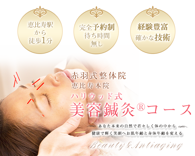 赤羽式整体院 美容鍼灸